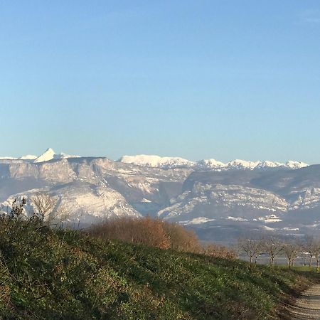 Gites&Chambres D Hotes Les Granges Du Fournel Saint-Lattier Екстериор снимка