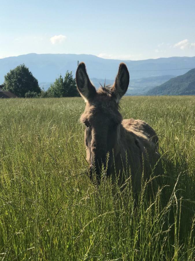 Gites&Chambres D Hotes Les Granges Du Fournel Saint-Lattier Екстериор снимка